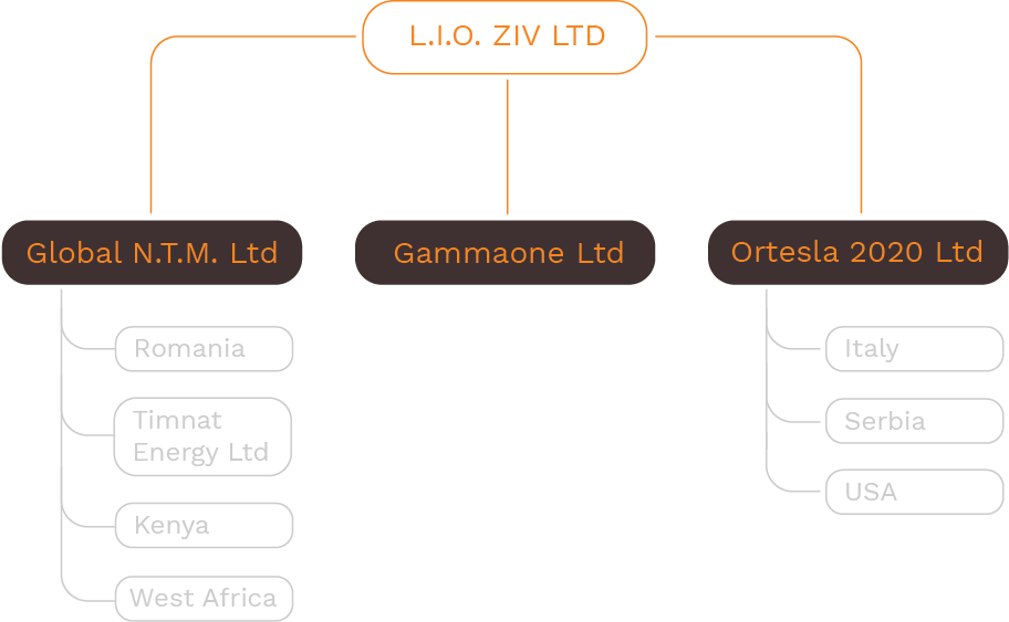 Corporate Structure