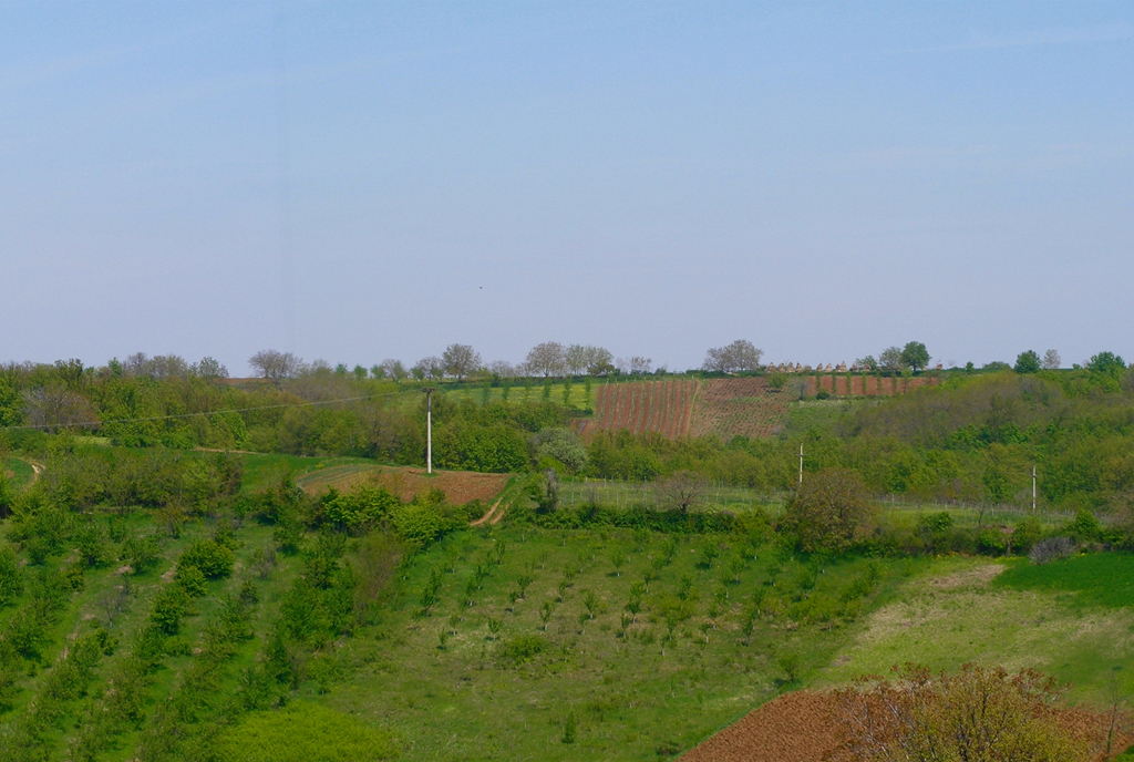 Jagodina countryside